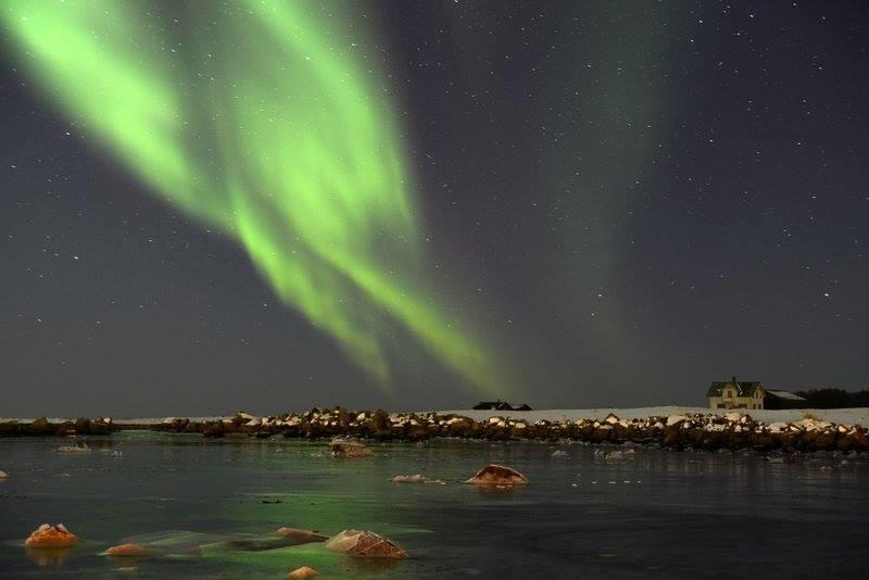 Borghildstua Feriehus Мельбу Номер фото